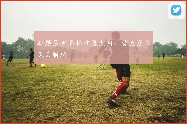 孙颖莎世界杯冲冠失利,背后原因深度解析