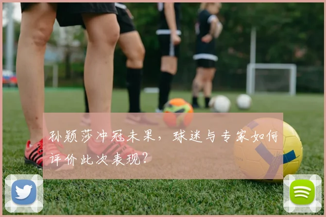 孙颖莎冲冠未果,球迷与专家如何评价此次表现?