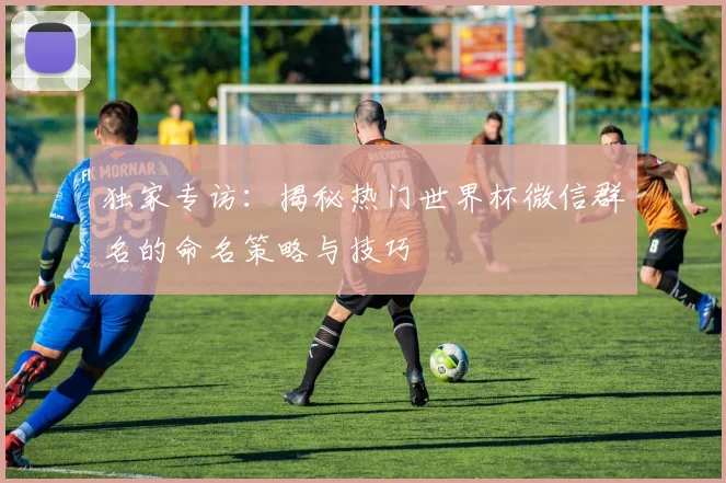 独家专访：揭秘热门世界杯微信群名的命名策略与技巧