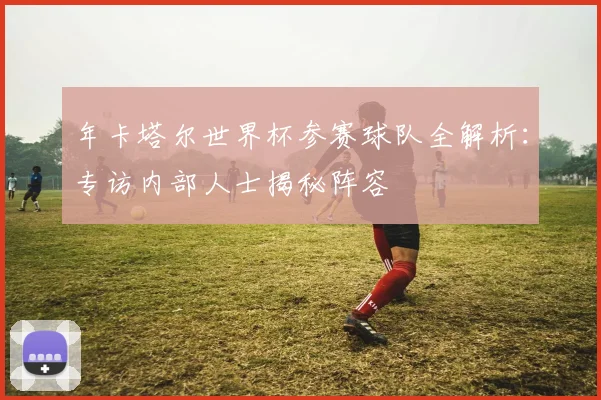 年卡塔尔世界杯参赛球队全解析：专访内部人士揭秘阵容