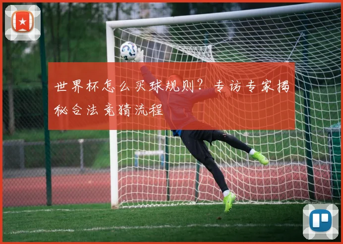 世界杯怎么买球规则？专访专家揭秘合法竞猜流程