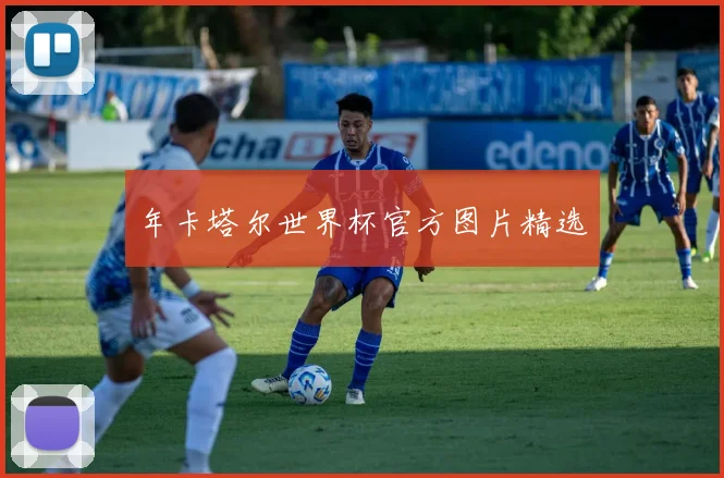 年卡塔尔世界杯官方图片精选