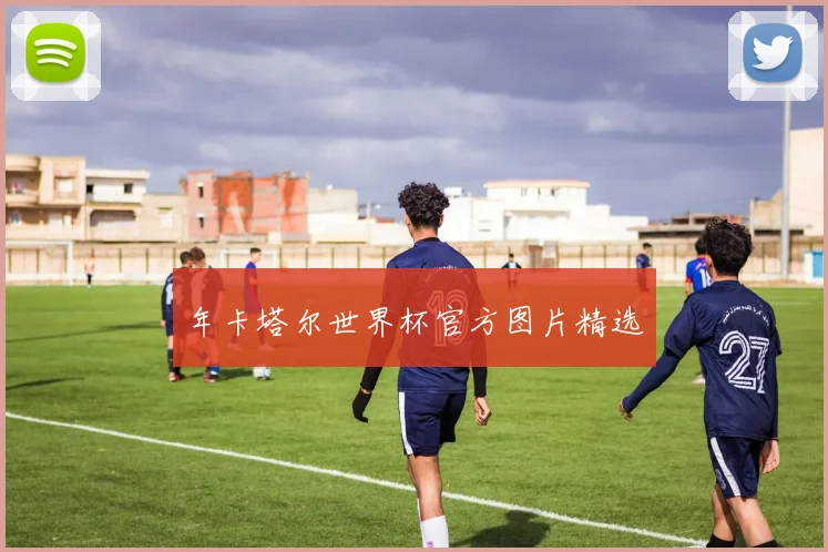 年卡塔尔世界杯官方图片精选